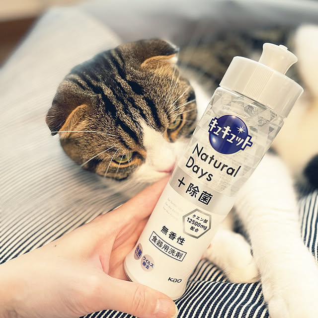 tansukeさんの実例写真