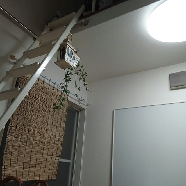 ayaさんの実例写真