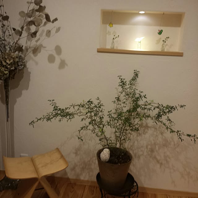 sat030501SATOさんの実例写真