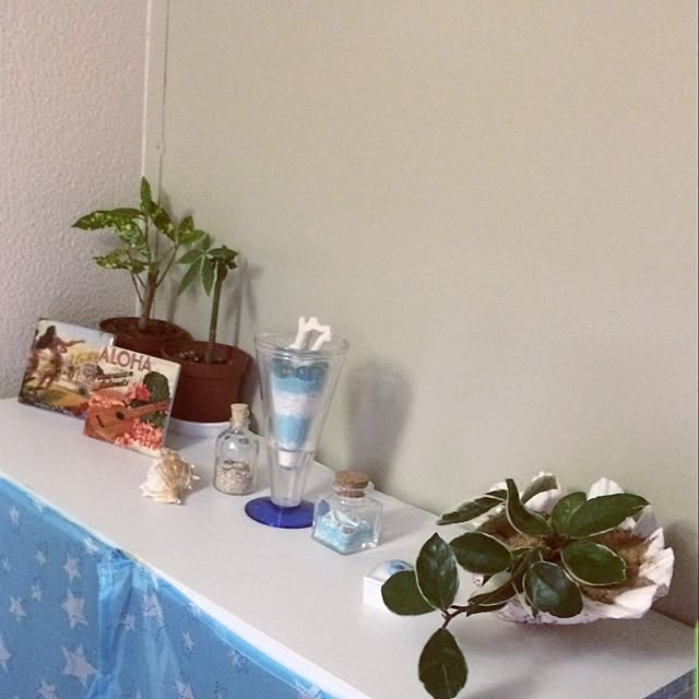 bijuhさんの実例写真