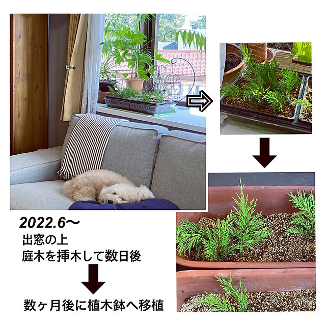 madamkaoriさんの部屋