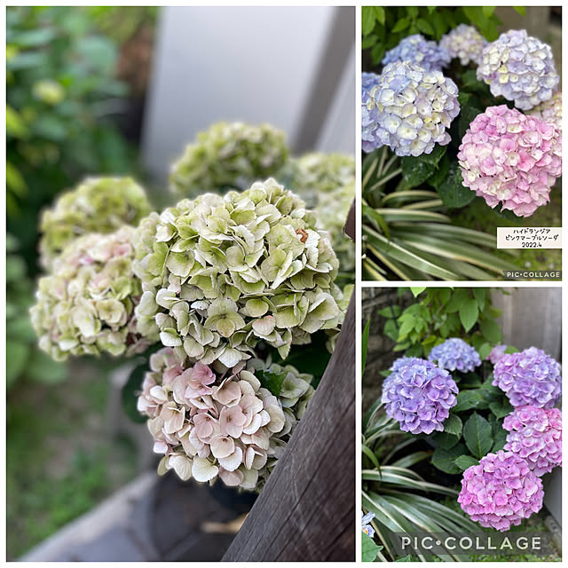 buchiさんの実例写真