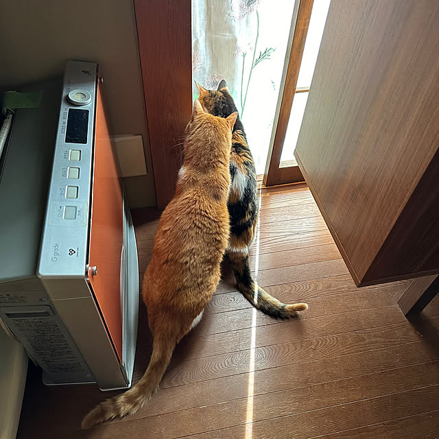 nyanko-beamさんの部屋