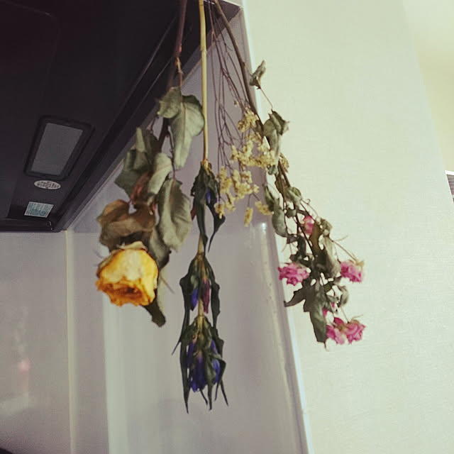 tomo3さんの実例写真