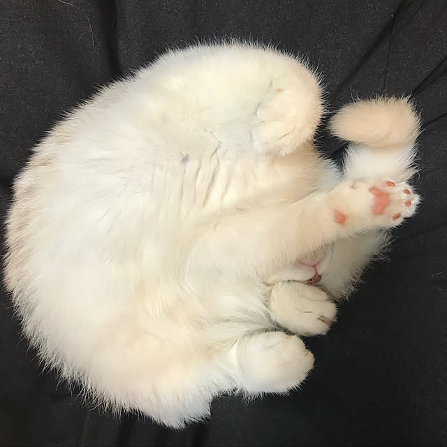 H.Tさんの実例写真
