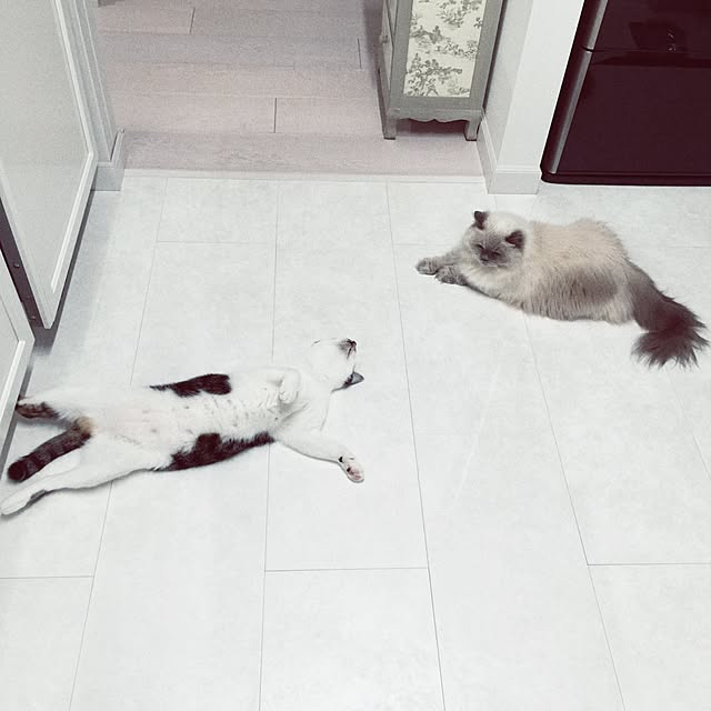 yuchiさんの実例写真