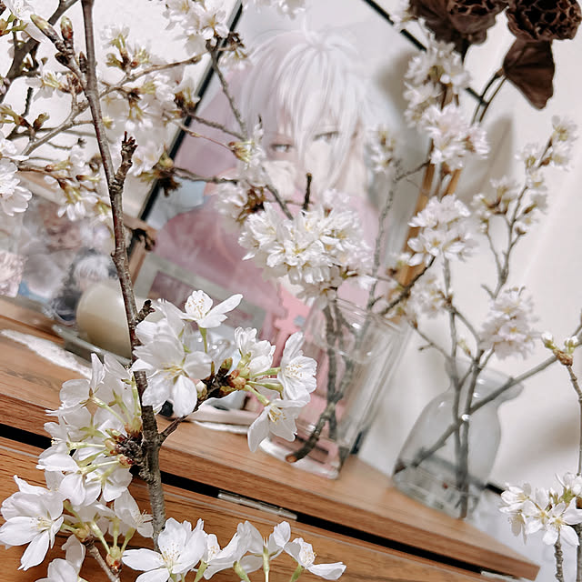 zewさんの実例写真