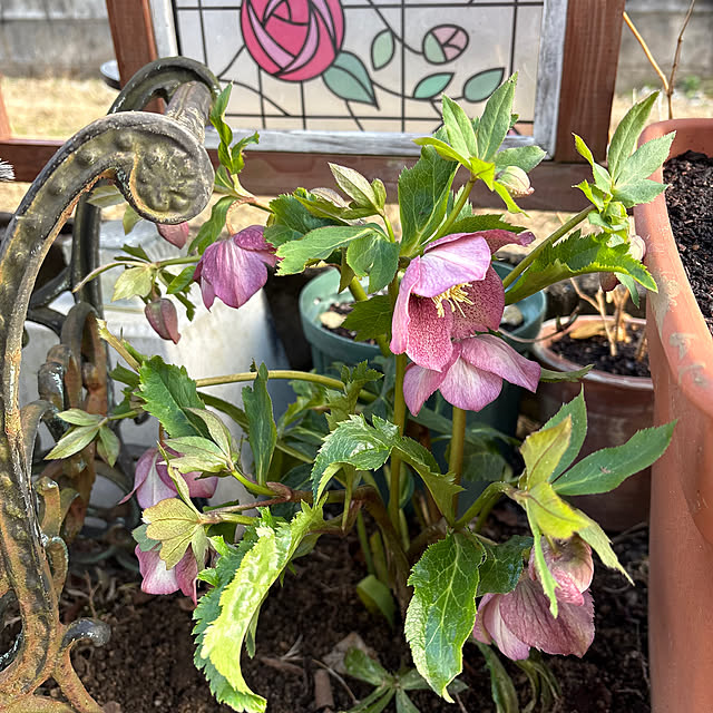 mayumiさんの部屋