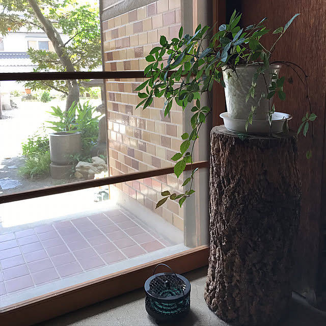 upaさんの実例写真