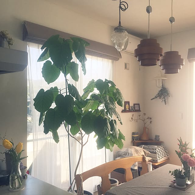 mimosaさんの実例写真