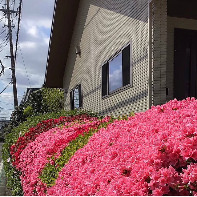 houenさんの部屋