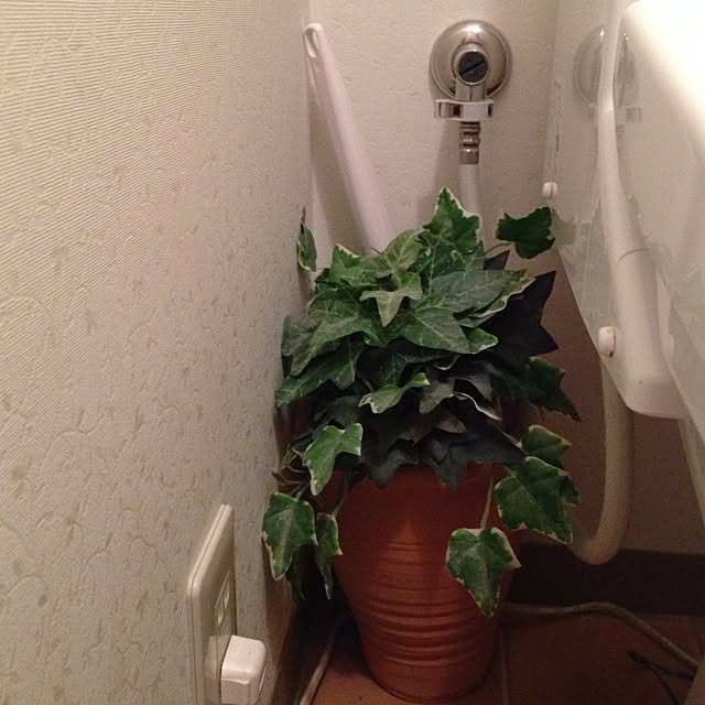 Naomiさんの実例写真