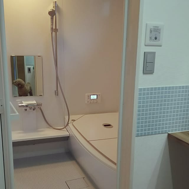 tentenさんの実例写真
