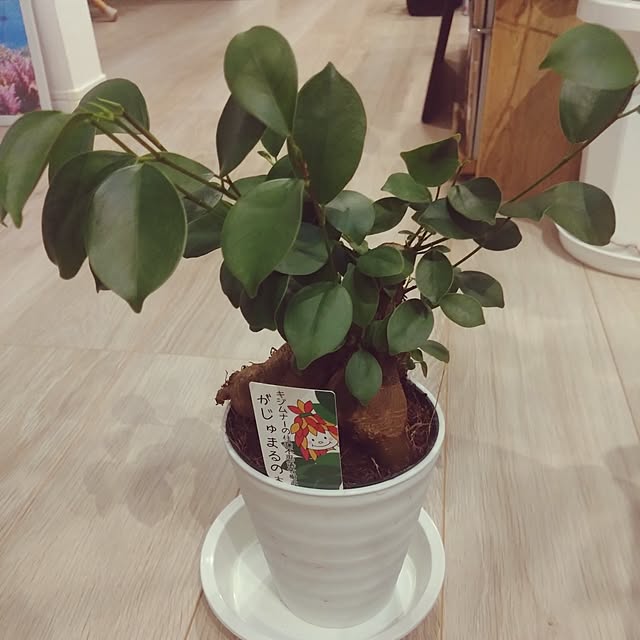 NAOKIさんの実例写真