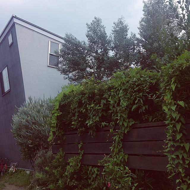 hiroさんの実例写真