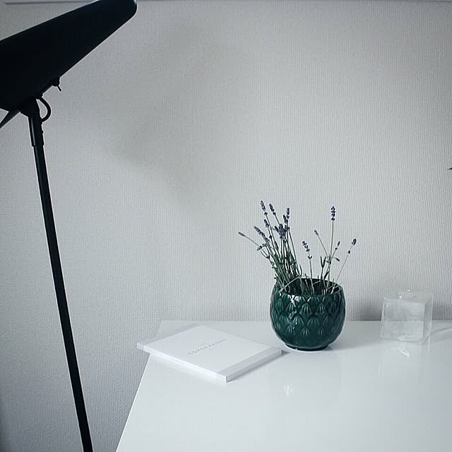 erixonさんの実例写真