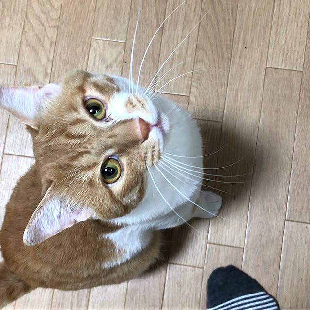 milkさんの実例写真