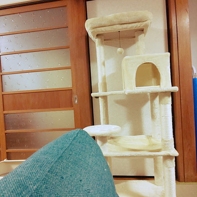 oseroさんの実例写真