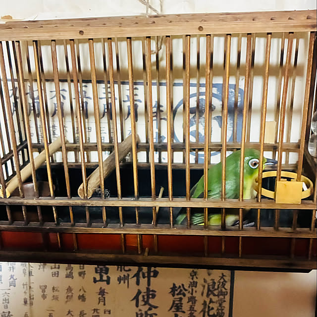 takakuzenさんの実例写真