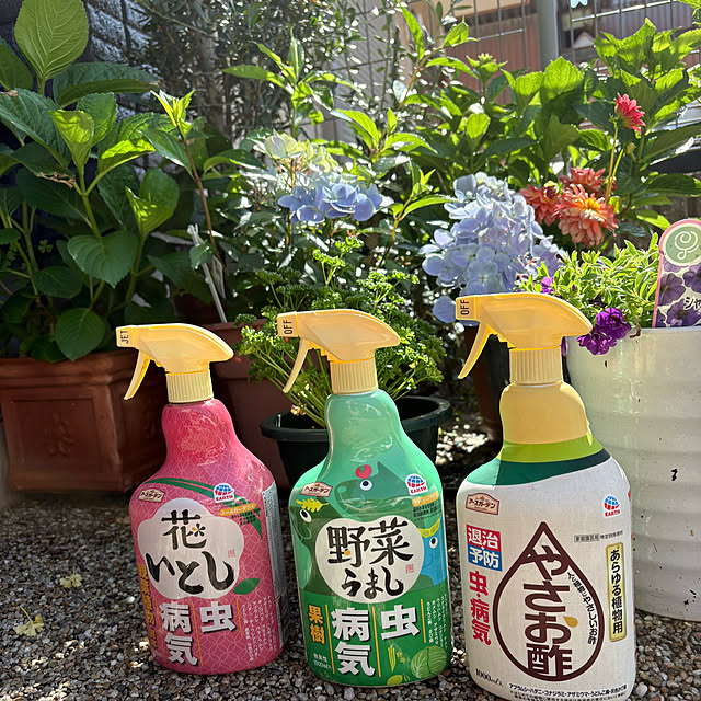 alchoさんの実例写真