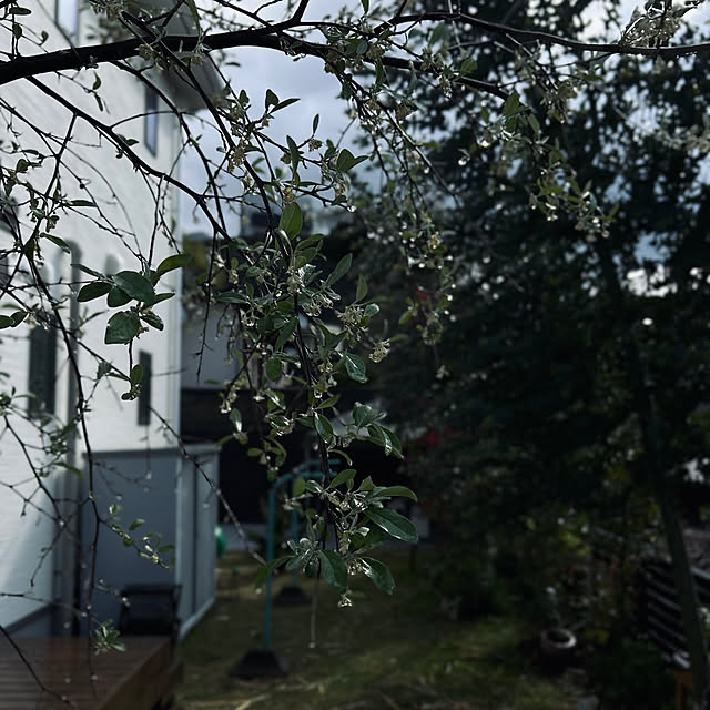 OMAさんの部屋