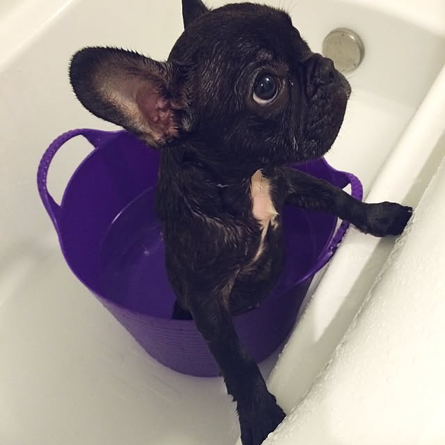 Ka_Kaさんの実例写真