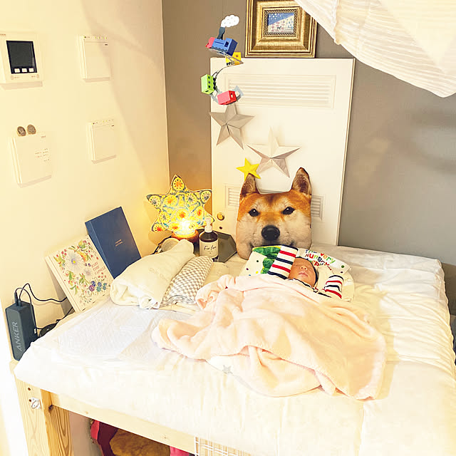 jolisukeさんの実例写真