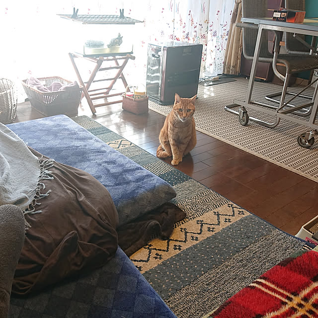okyosan101さんの実例写真