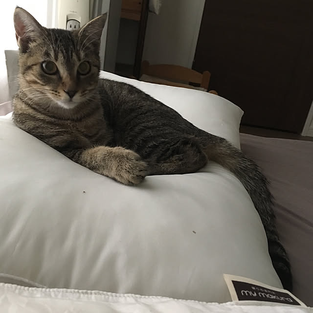 mikomaruさんの実例写真