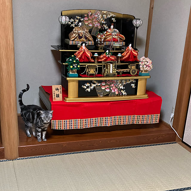zabonzabonさんの実例写真