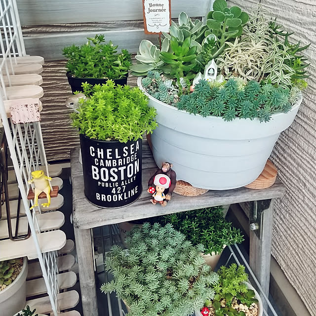 meiさんの実例写真