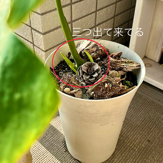 amさんの部屋