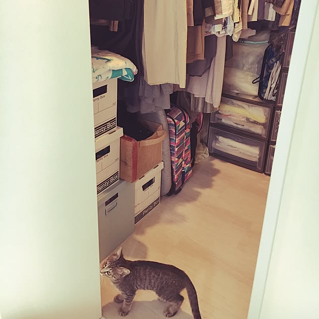 uraraさんの実例写真