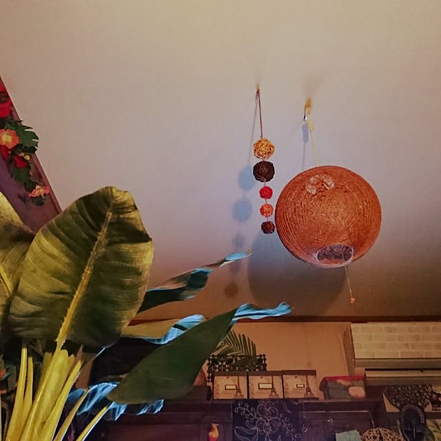 naaponさんの実例写真