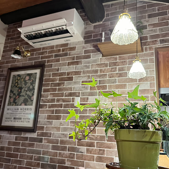 cota2さんの部屋