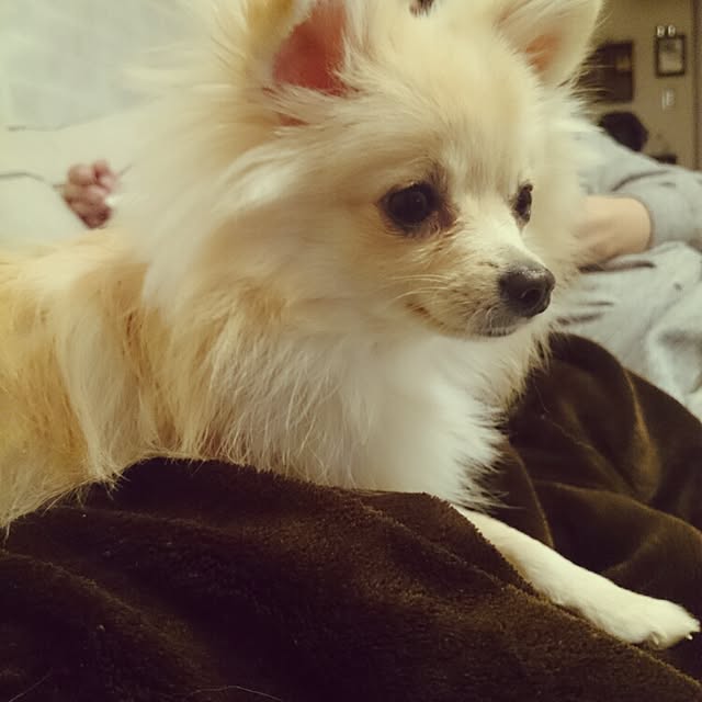 nicoco.さんの実例写真