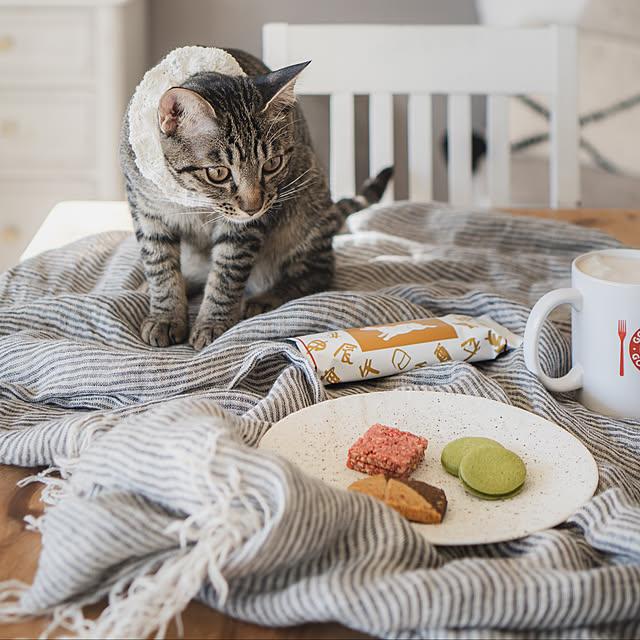 oliveさんの実例写真