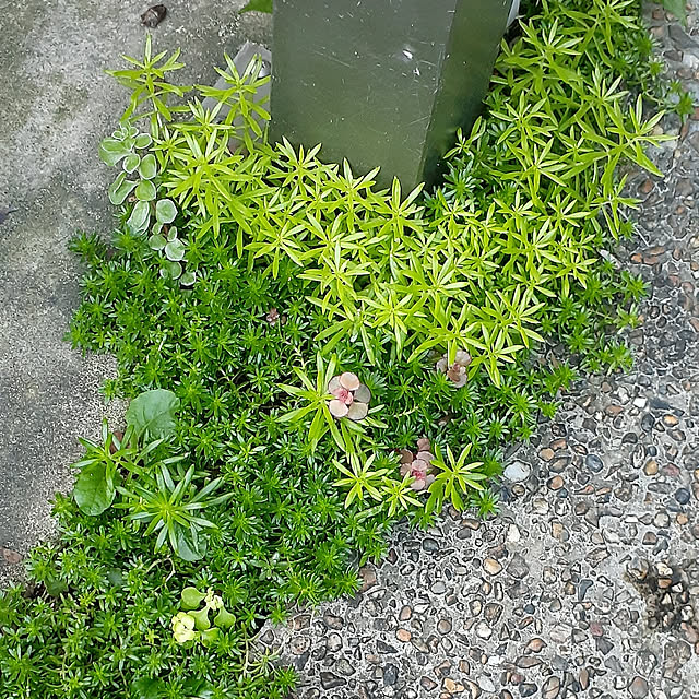 amtさんの実例写真