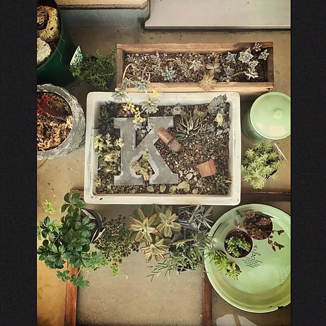 lafleurさんの実例写真