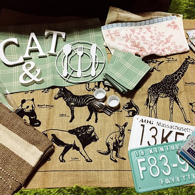 cat.mさんの実例写真