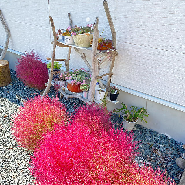 sattoさんの実例写真