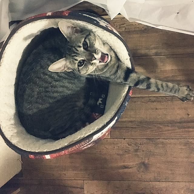 sayasさんの実例写真