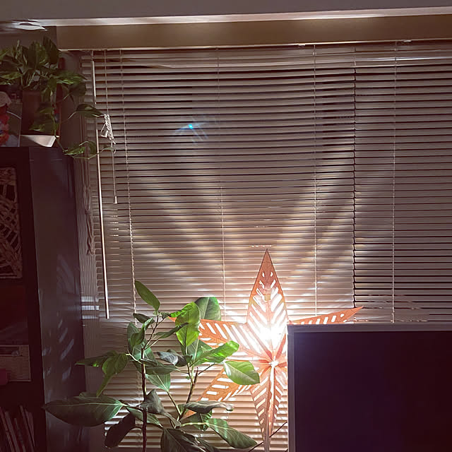 リビング/観葉植物/雑貨/IKEA/照明のインテリア実例 - 2023-08-21 12:34:46