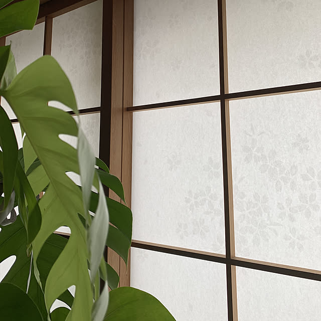 noinoi99さんの実例写真
