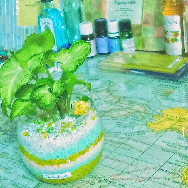 maiさんの実例写真