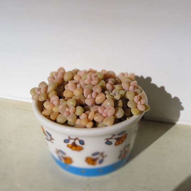 nan_tocoさんの実例写真