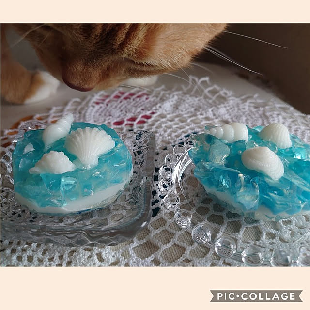 toramamaさんの実例写真