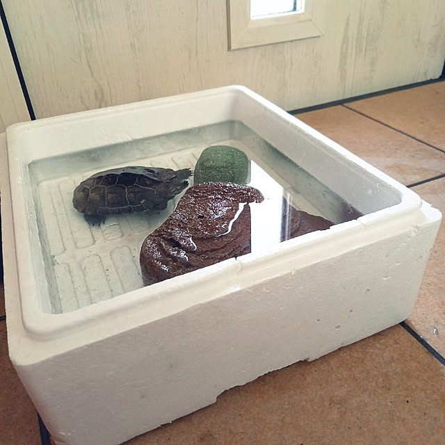 pomeさんの実例写真