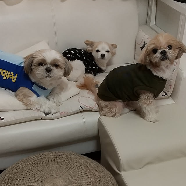 ronさんの実例写真