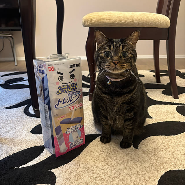 momocchiさんの実例写真